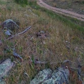 Review photo of RD 356 Dispersed Site Black Hills National Forest by Joel D., September 14, 2022