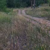 Review photo of RD 356 Dispersed Site Black Hills National Forest by Joel D., September 14, 2022