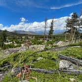 Review photo of Glacier Basin Campground — Rocky Mountain National Park by JP C., September 14, 2022