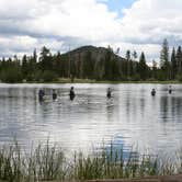Review photo of Glacier Basin Campground — Rocky Mountain National Park by JP C., September 14, 2022