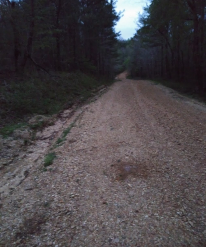 Camper submitted image from Waypoint Woods - 1