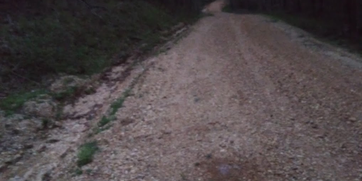 Camper submitted image from Waypoint Woods