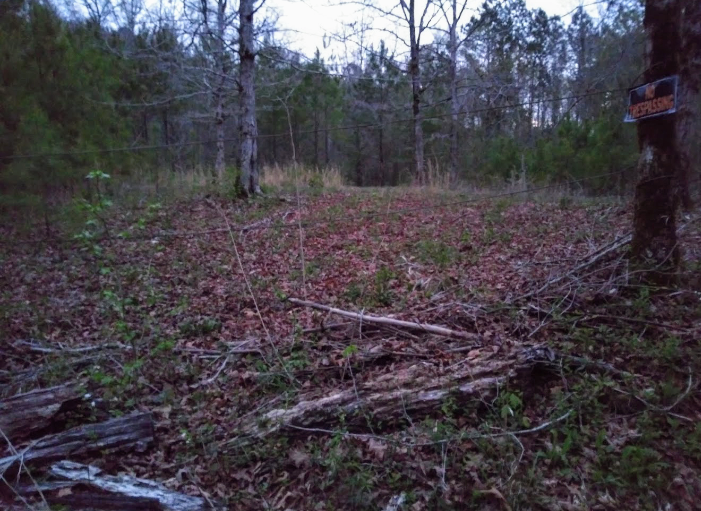 Camper submitted image from Waypoint Woods - 2