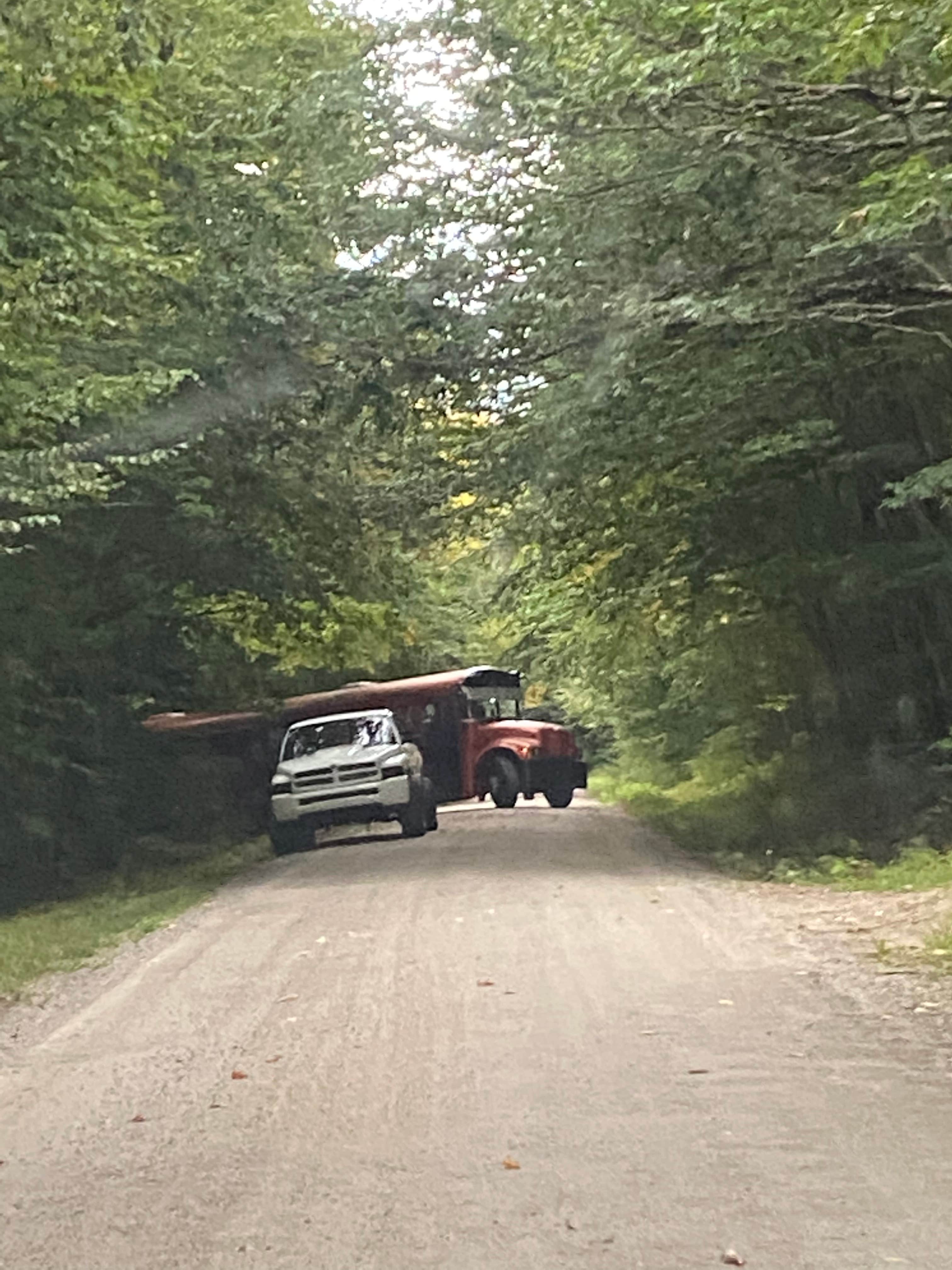 Camper submitted image from Gale River Loop Road - 1