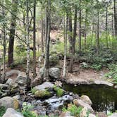 Review photo of Sequoia National Forest Belknap Campground by Christi C., September 14, 2022