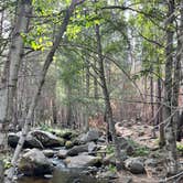 Review photo of Sequoia National Forest Belknap Campground by Christi C., September 14, 2022