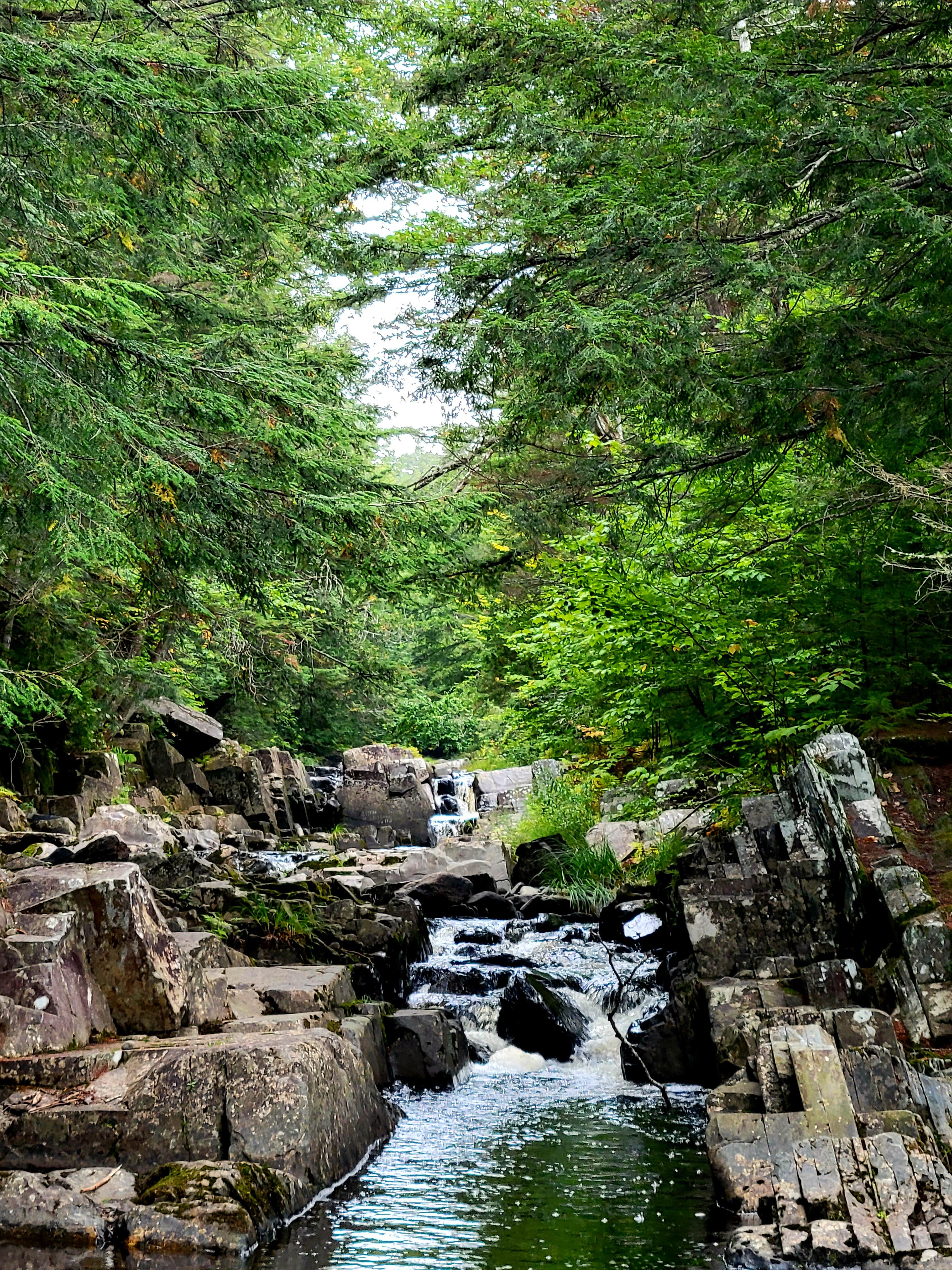 Camper-submitted photo at Wilson Streams Area near Willimantic, ME