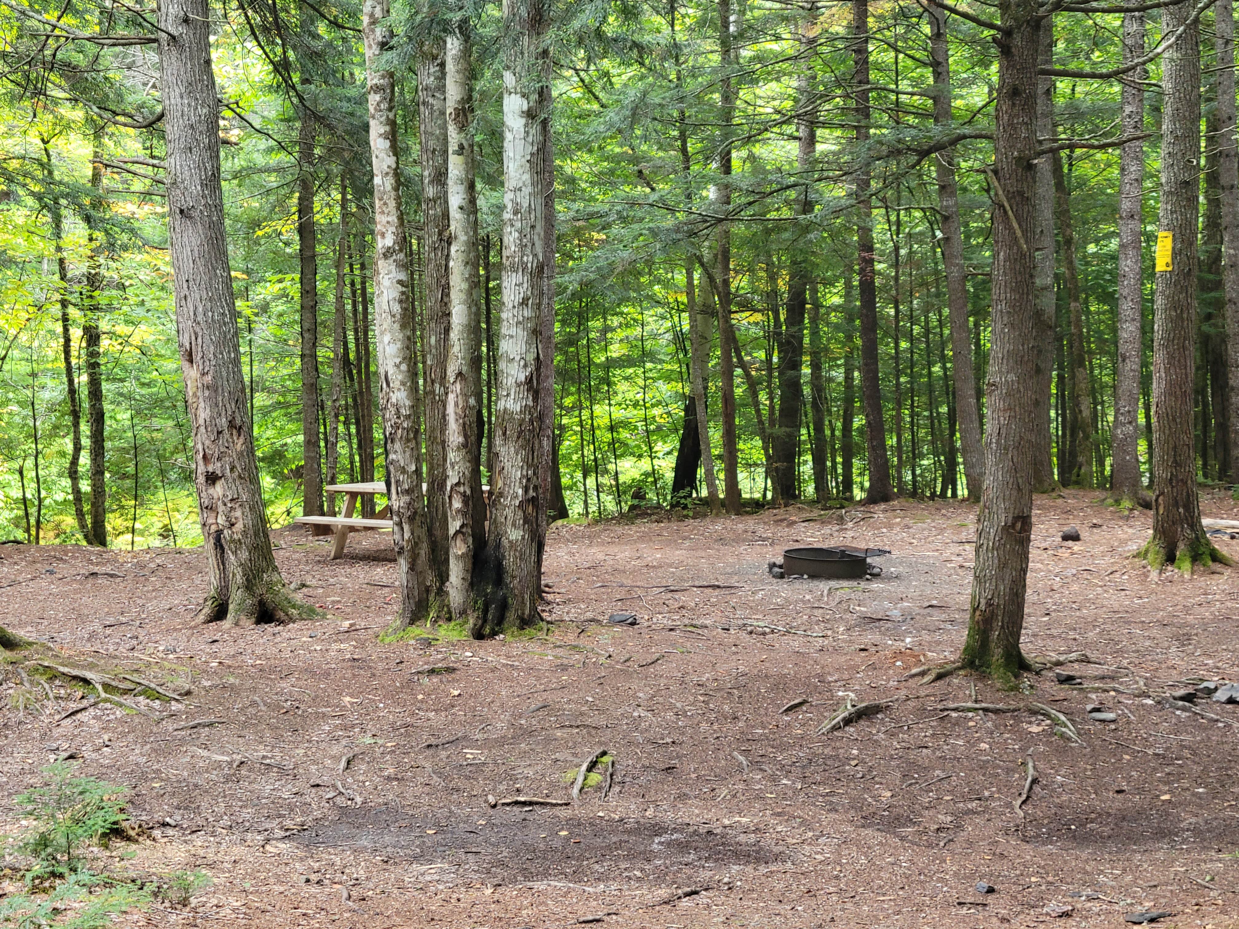 Camping near Philbrick Landing: Wilson Streams Area, Willimantic, Maine