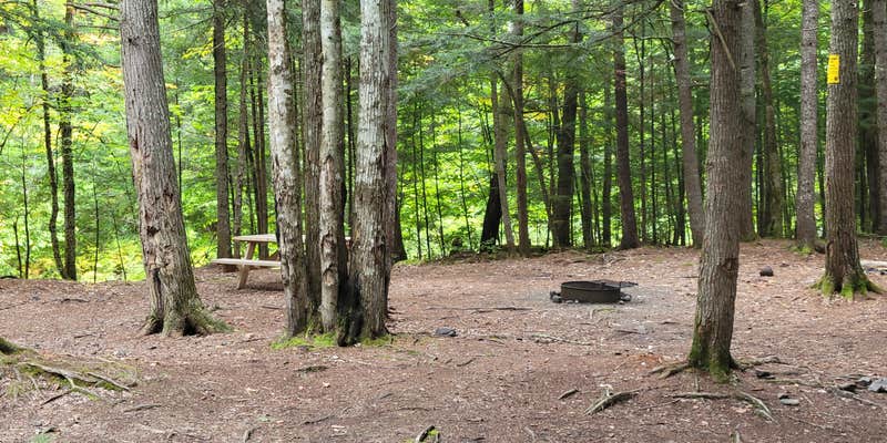 Camper submitted image from Wilson Streams Area