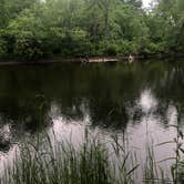 Review photo of Stokes State Forest by Sean F., July 26, 2018