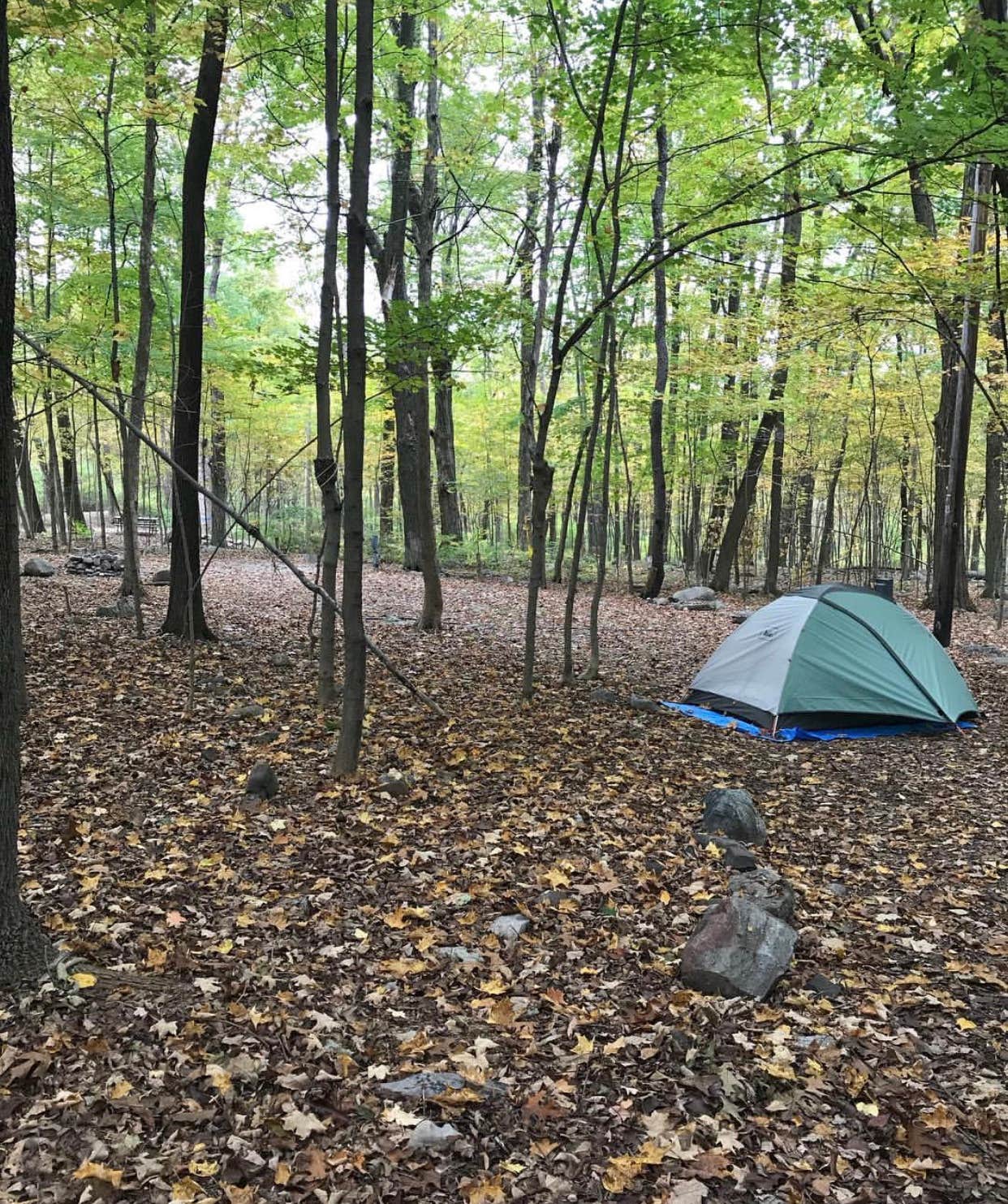 Camper submitted image from Harmony Ridge Farm & Campgrounds - 4