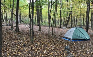 Sean F.'s photo at Harmony Ridge Farm & Campgrounds near Hopatcong, NJ