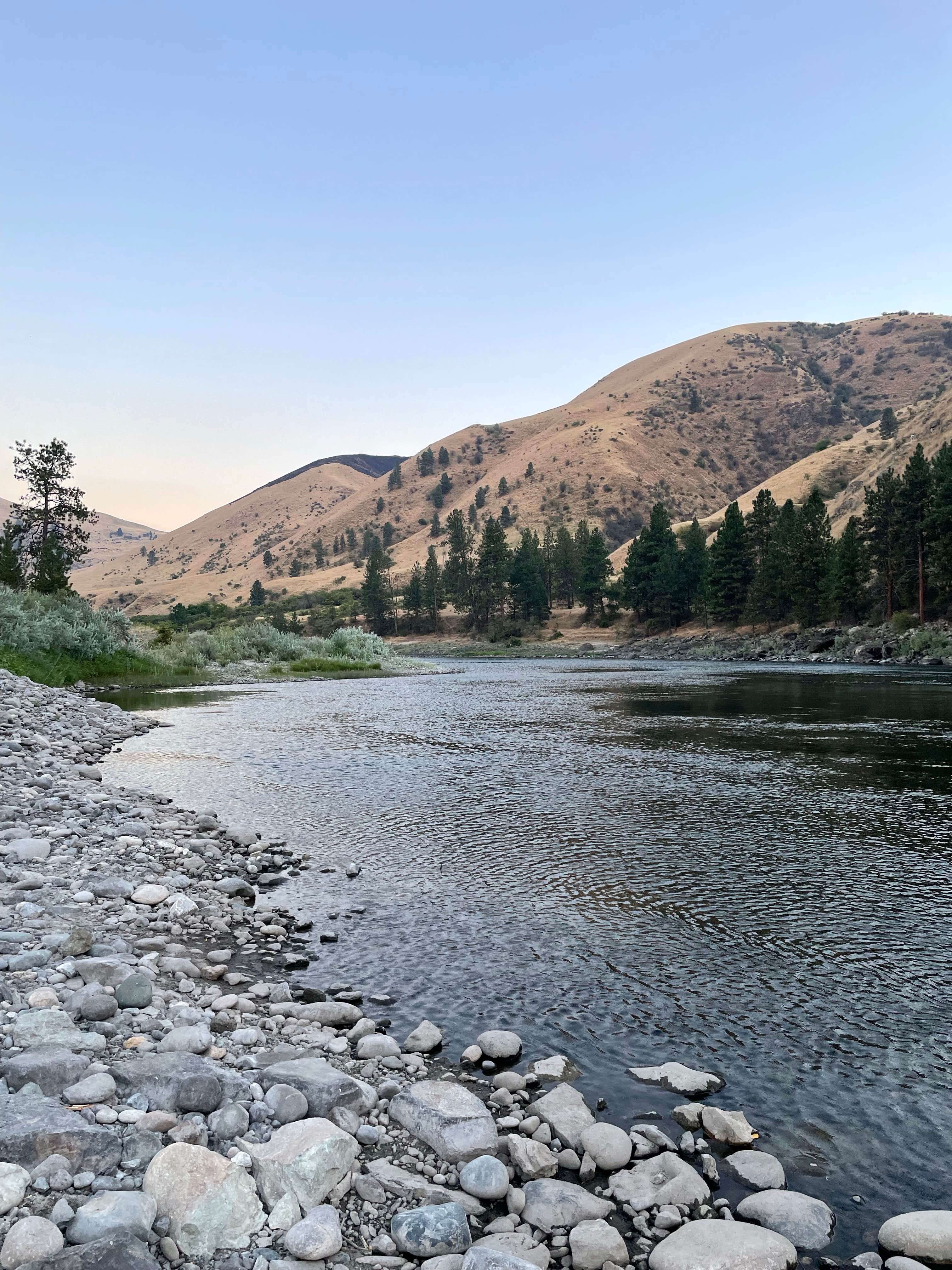 Camper submitted image from Springy Point - 4