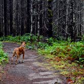 Review photo of Dairy Creek West - L L Stub Stewart State Park — L.L. Stub Stewart State Park by Gabrielle S., July 26, 2018