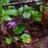 Review photo of Dairy Creek West - L L Stub Stewart State Park — L.L. Stub Stewart State Park by Gabrielle S., July 26, 2018