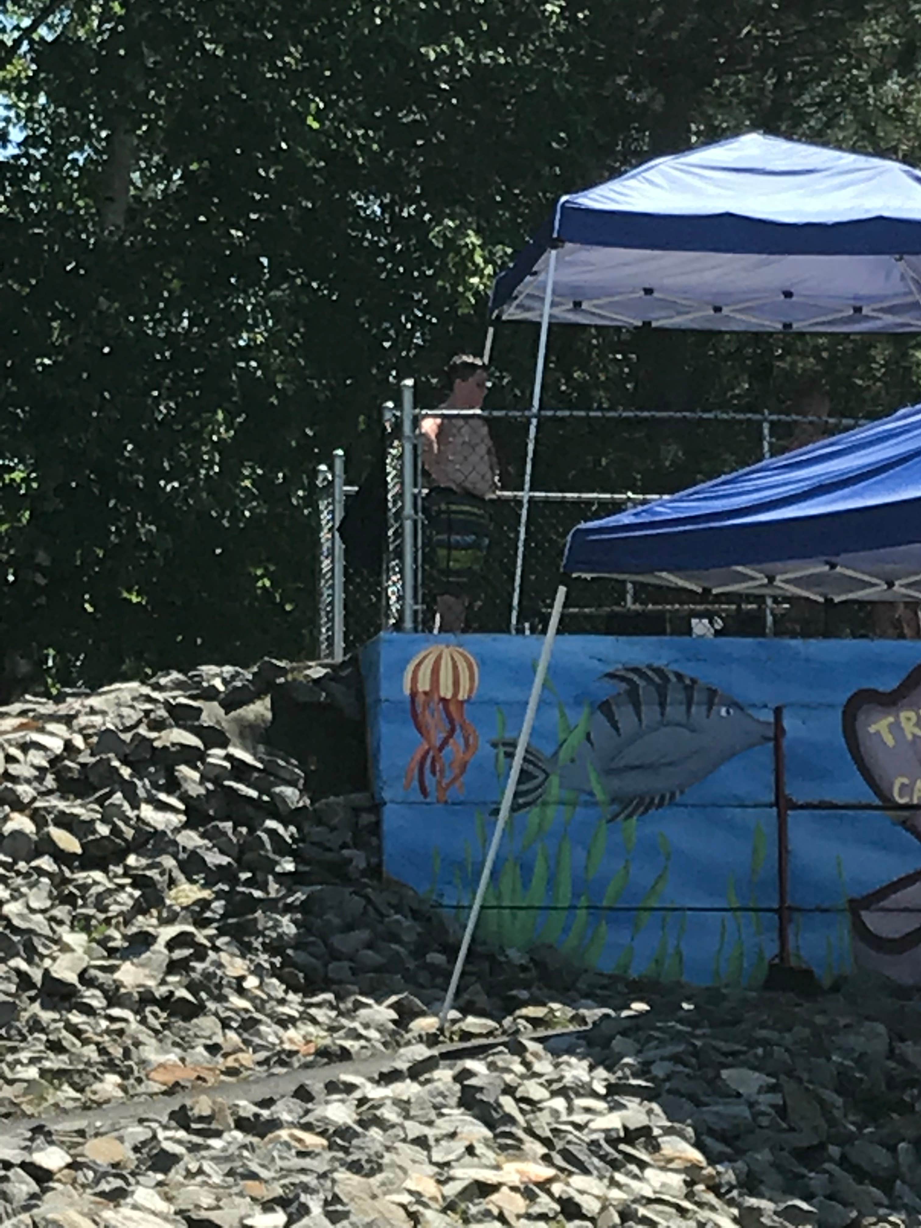 Camper-submitted photo at Tree Corners Family Campground near Lake Elmore, VT