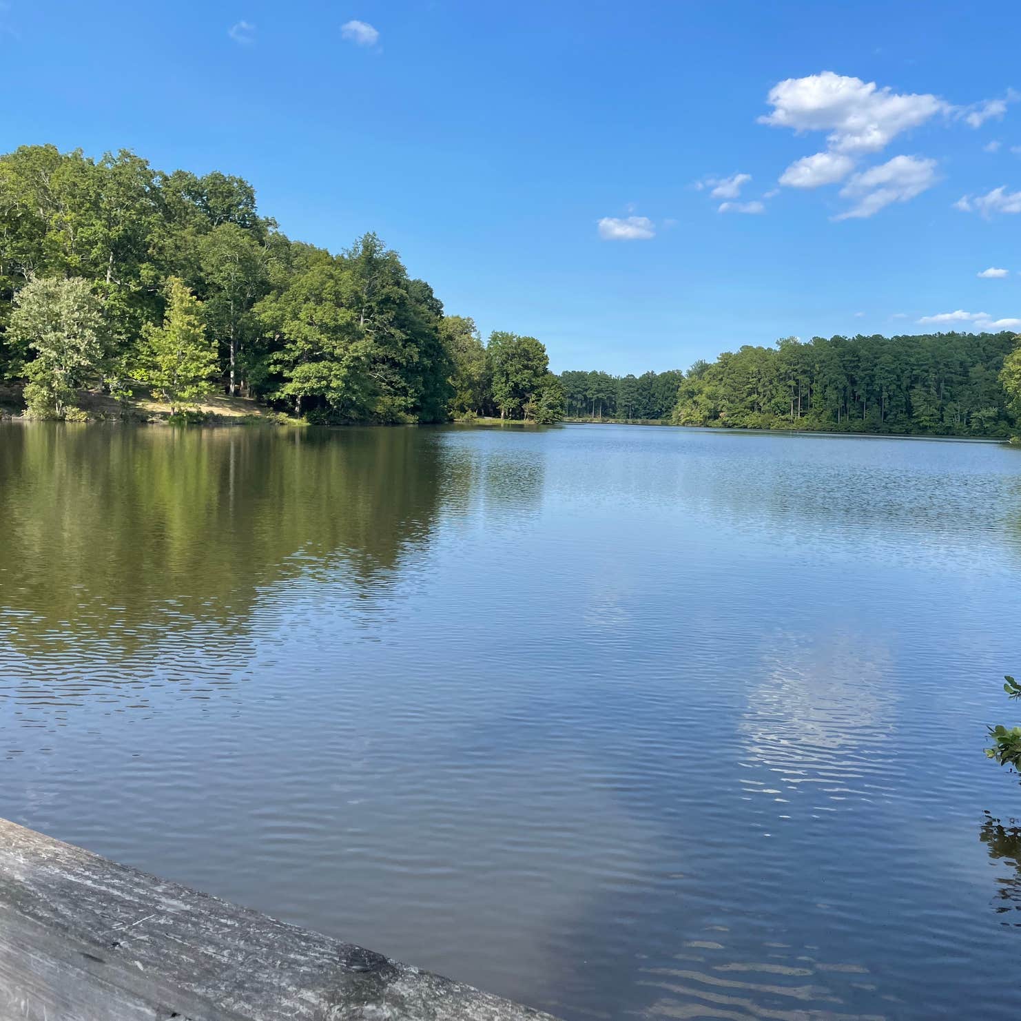 Cub Lake Campground #1 — Natchez Trace State Park | Wildersville, TN