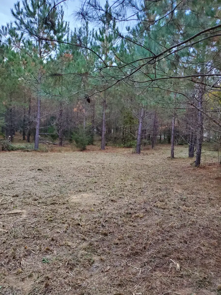 Camper-submitted photo at Moonpie Farm and Creamery near Bonifay, FL