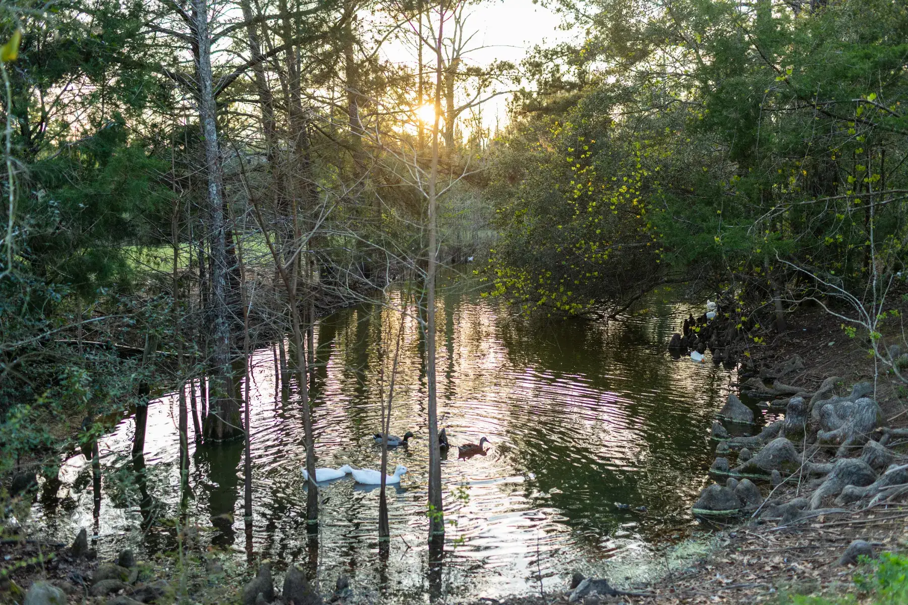 Camper-submitted photo at Moonpie Farm and Creamery near Bonifay, FL