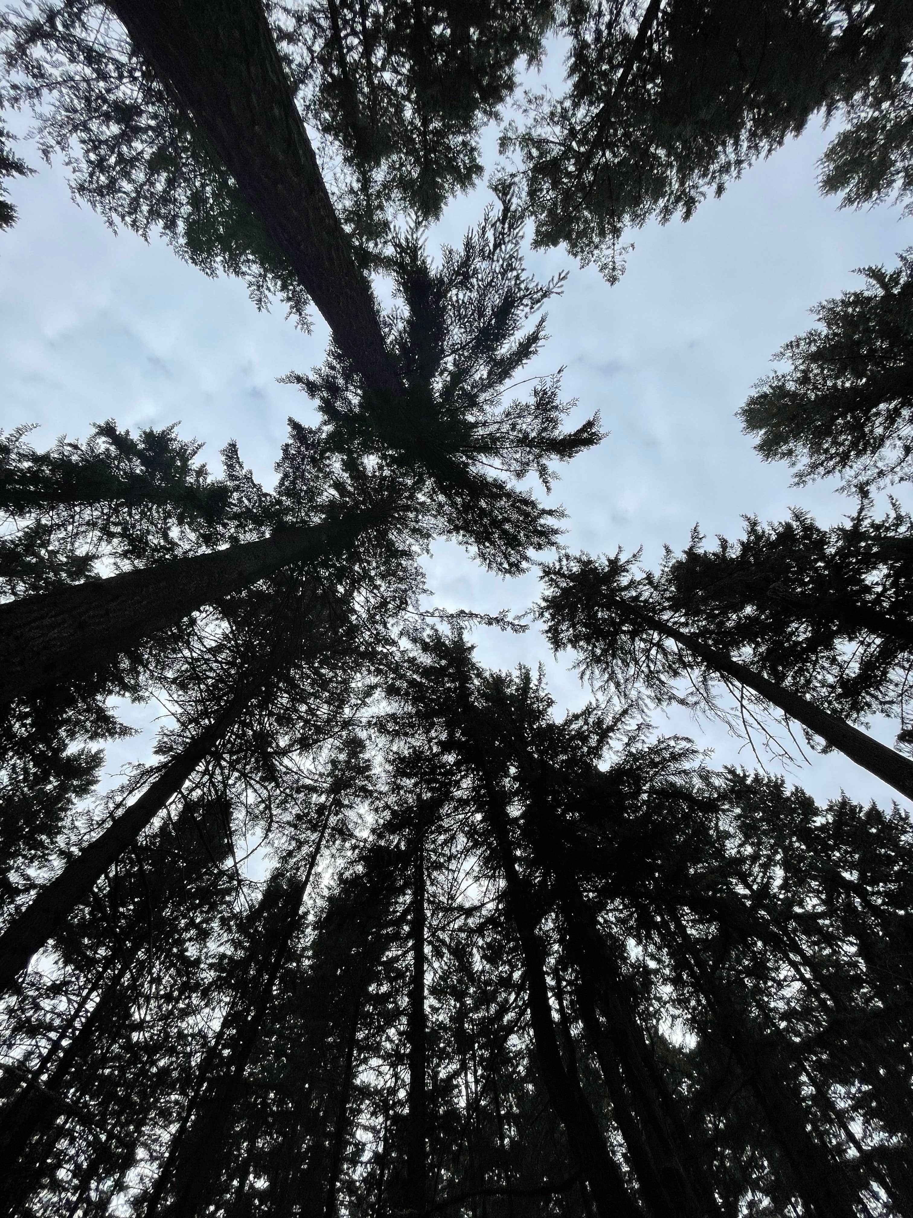 Camper-submitted photo at Holiday Park Military - Lewis McChord Base near Lake Tapps, WA