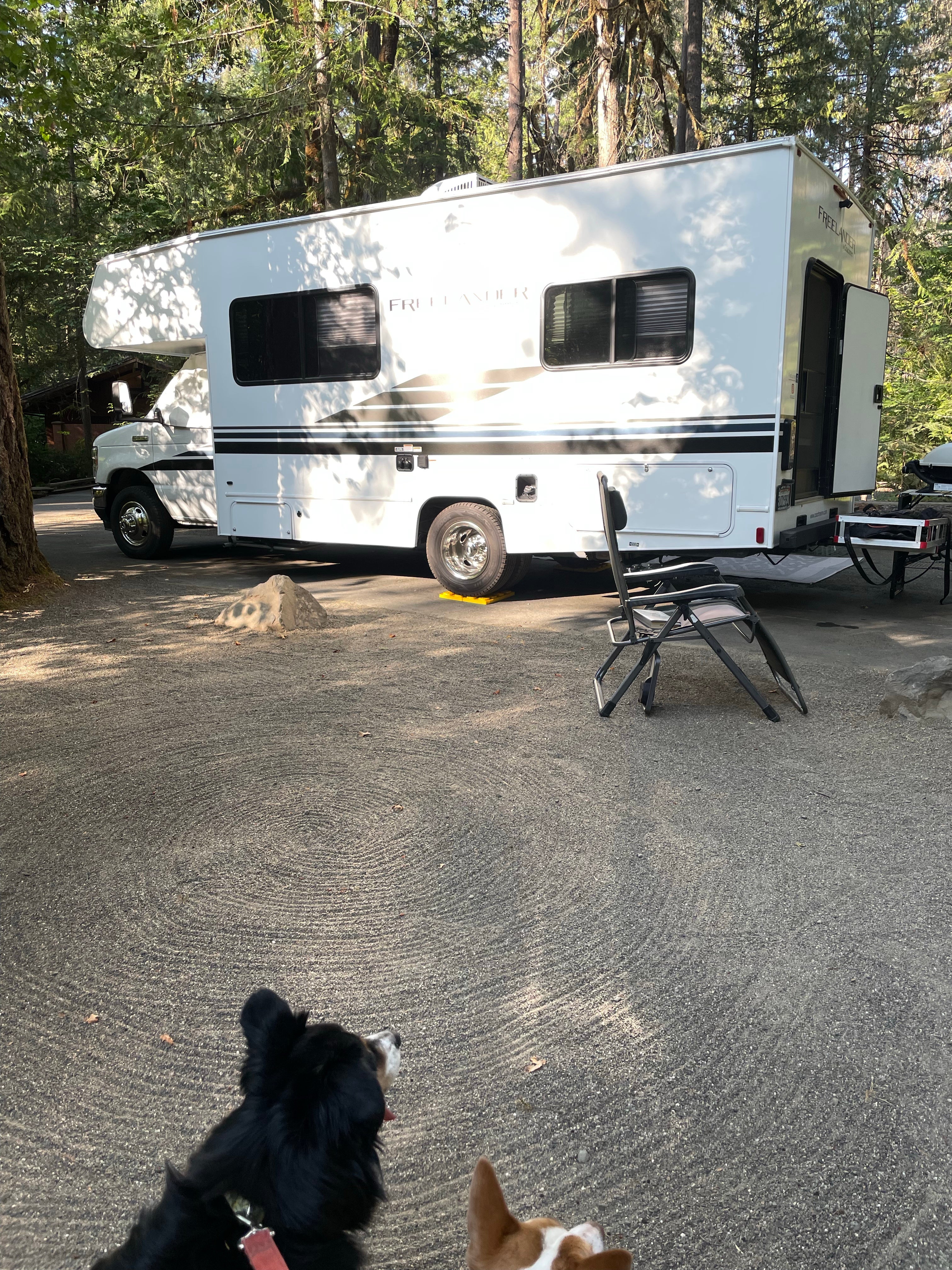Camper submitted image from BLM Susan Creek Recreation Site - 1