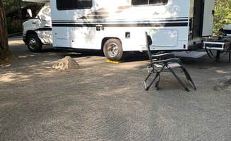 Lori T.'s photo of camping with pets at BLM Susan Creek Recreation Site near Dorena, OR