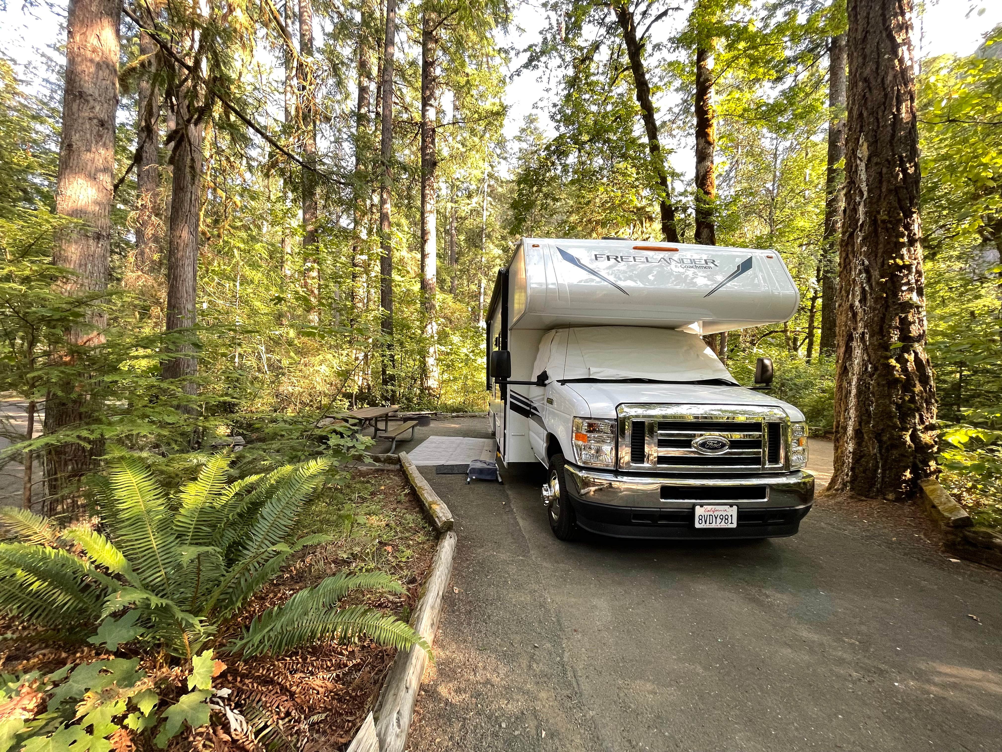 Camper submitted image from BLM Susan Creek Recreation Site - 5