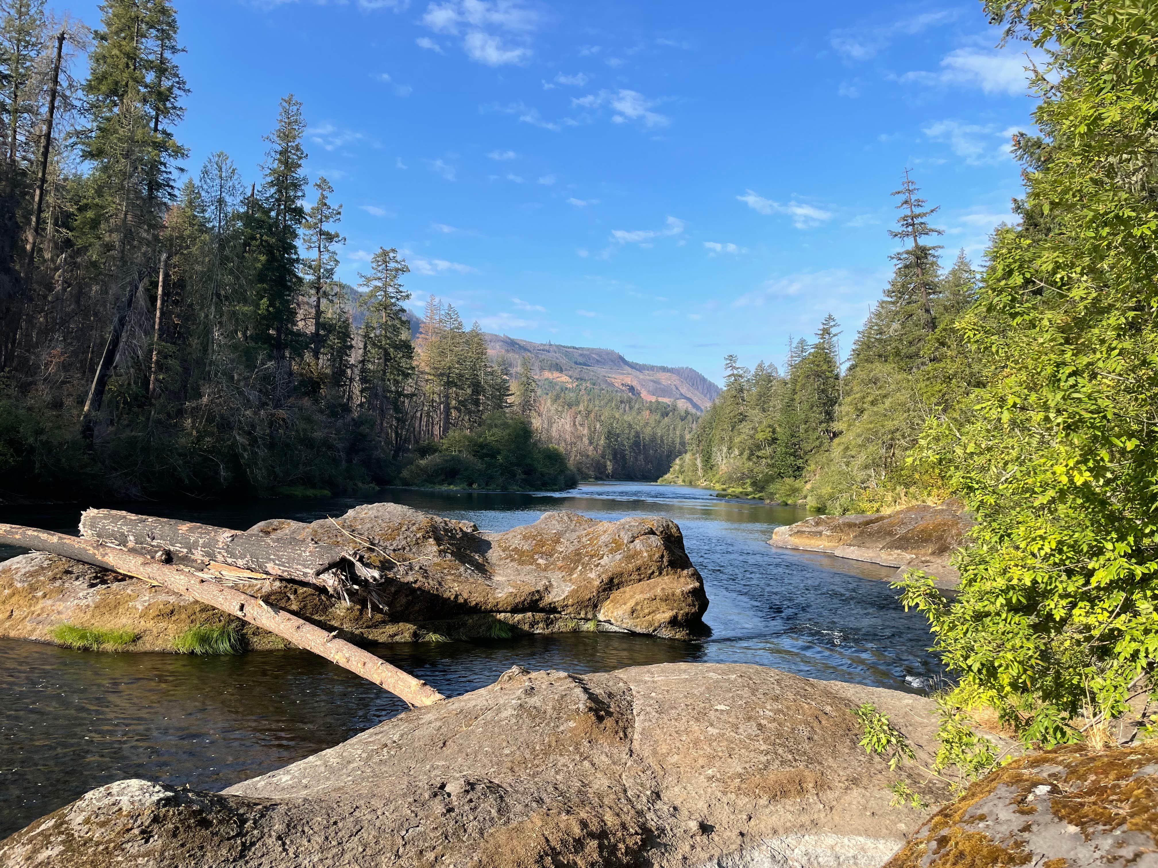 Camper submitted image from BLM Susan Creek Recreation Site - 3