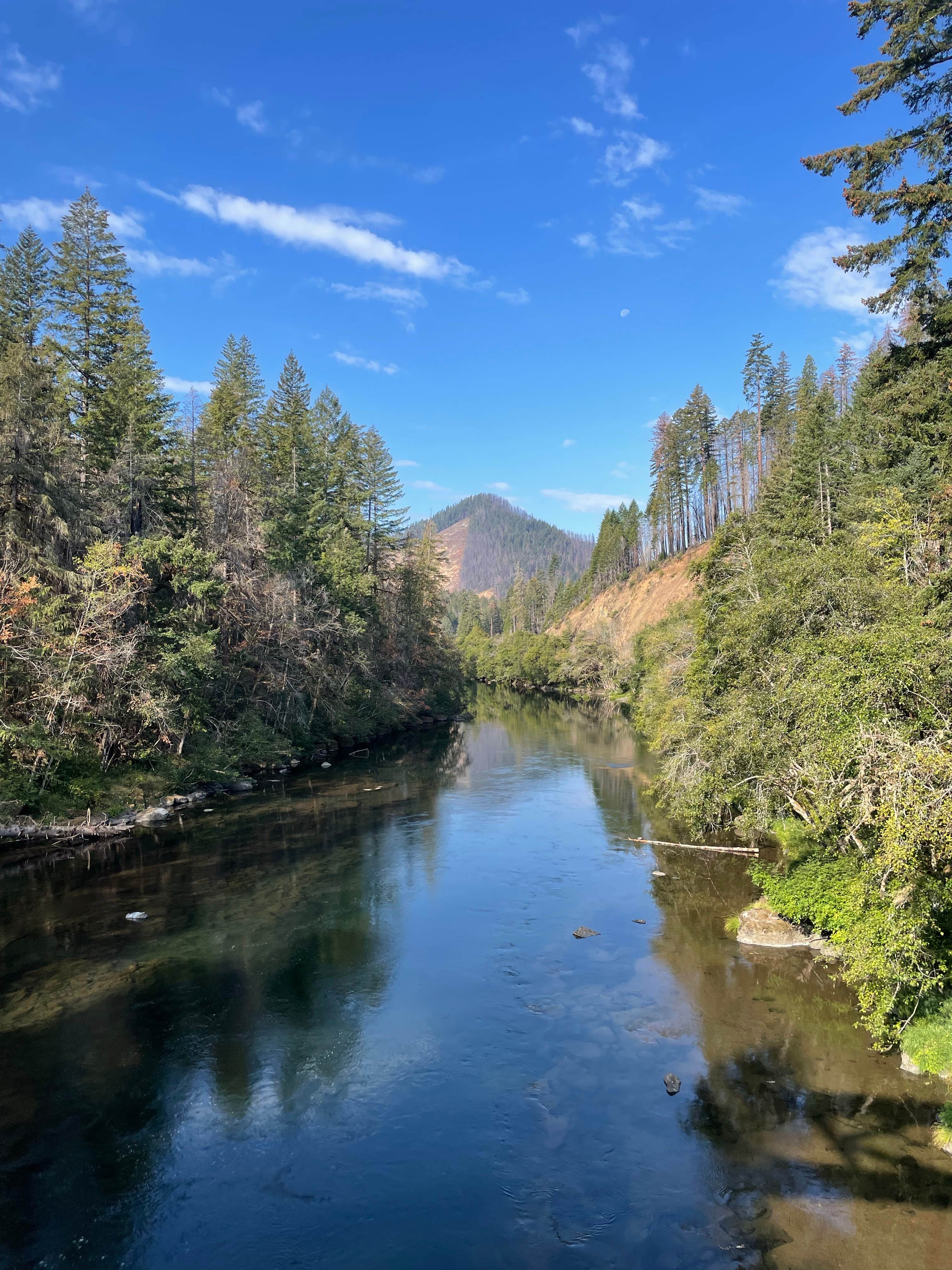 Camper submitted image from BLM Susan Creek Recreation Site - 2