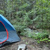 Review photo of Arroyo Seco Dispersed NF Camping by Jacqueline L., September 15, 2022