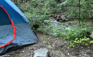 Jacqueline L.'s photo at Arroyo Seco Dispersed NF Camping near Arroyo Seco, NM