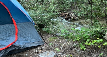Arroyo Seco Dispersed NF Camping