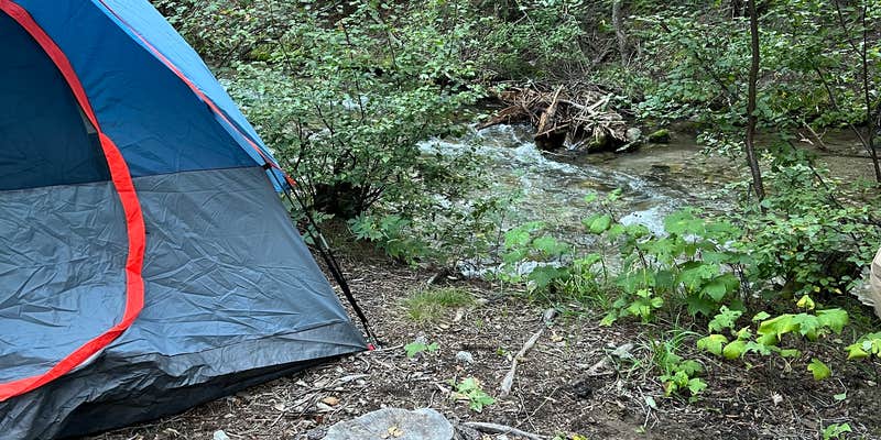 Camper submitted image from Arroyo Seco Dispersed NF Camping