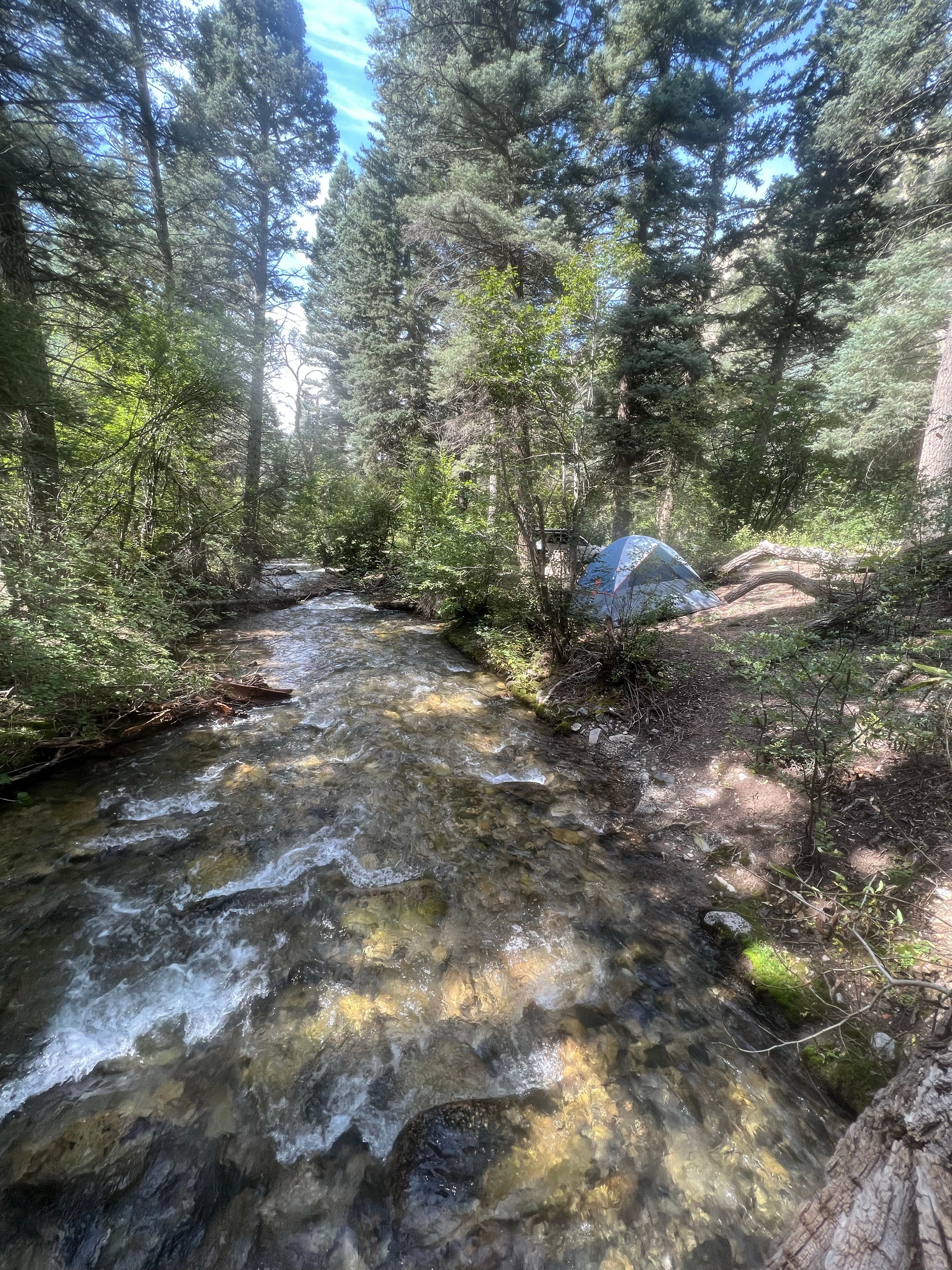 Camper submitted image from Arroyo Seco Dispersed NF Camping - 3