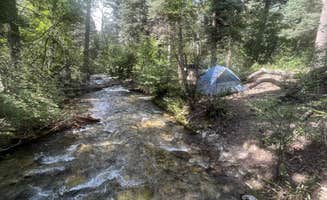 Jacqueline L.'s photo of a dispersed camping area at Arroyo Seco Dispersed NF Camping near Taos Ski Valley, NM