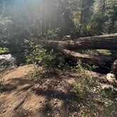 Review photo of Arroyo Seco Dispersed NF Camping by Jacqueline L., September 15, 2022
