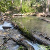 Review photo of Arroyo Seco Dispersed NF Camping by Jacqueline L., September 15, 2022