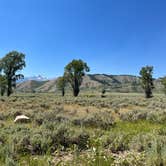 Review photo of Gros Ventre Campground — Grand Teton National Park by JP C., September 15, 2022