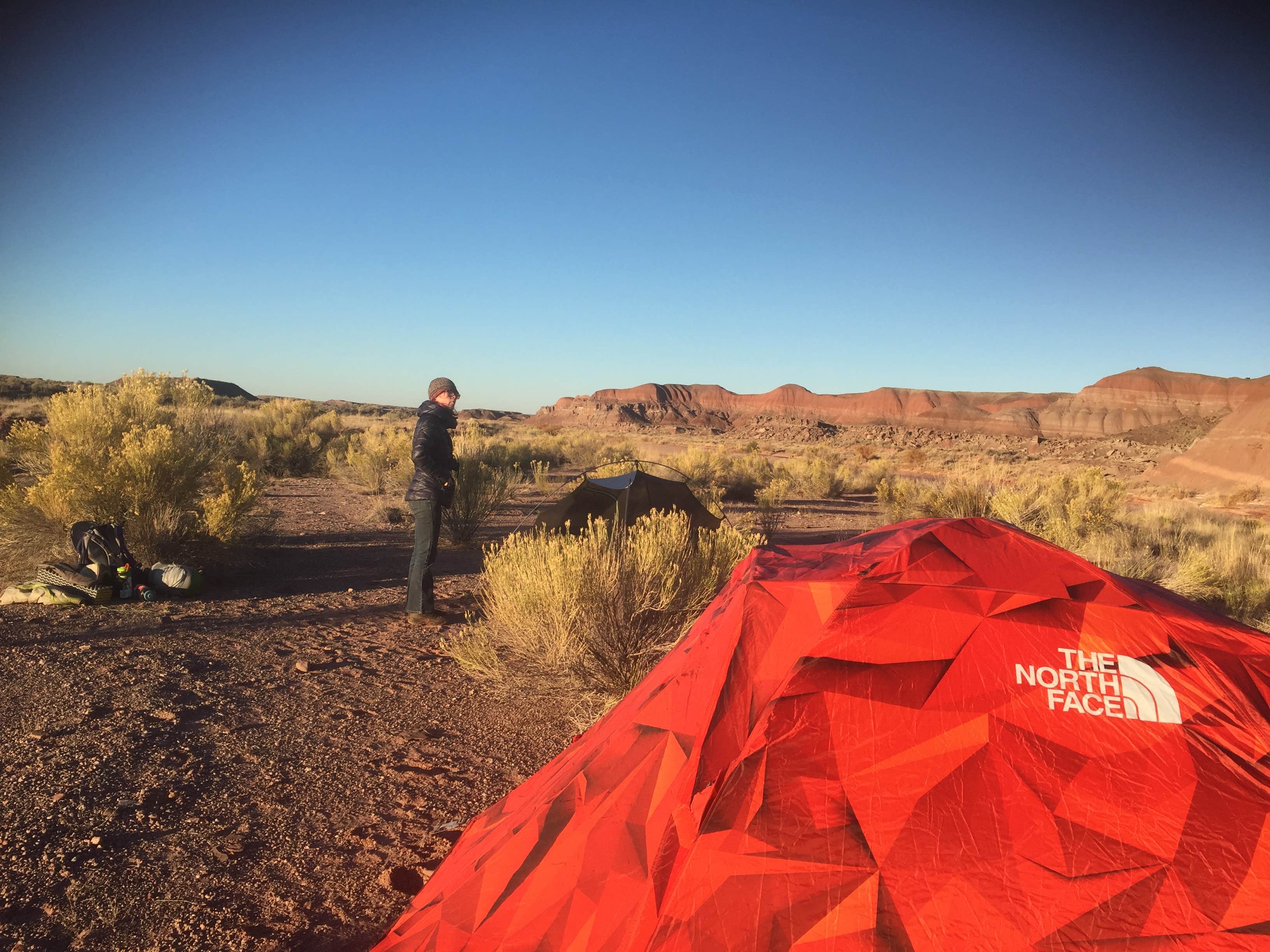 Kate S.'s photo at Petrified Forest National Wilderness Area — Petrified Forest National Park near Ganado, AZ