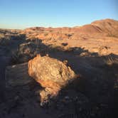 Review photo of Petrified Forest National Wilderness Area — Petrified Forest National Park by Kate S., November 26, 2018