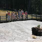 Review photo of Canyon Campground — Yellowstone National Park by JP C., September 15, 2022