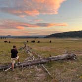 Review photo of Madison Campground — Yellowstone National Park by JP C., September 15, 2022