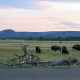 Review photo of Madison Campground — Yellowstone National Park by JP C., September 15, 2022