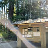 Review photo of Heart O' the Hills Campground — Olympic National Park by Emily L., September 15, 2022