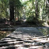 Review photo of Pfeiffer Big Sur State Park Campground by Christopher  R., September 15, 2022