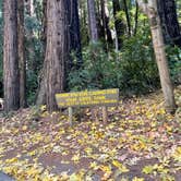 Review photo of Pfeiffer Big Sur State Park Campground by Christopher  R., September 15, 2022