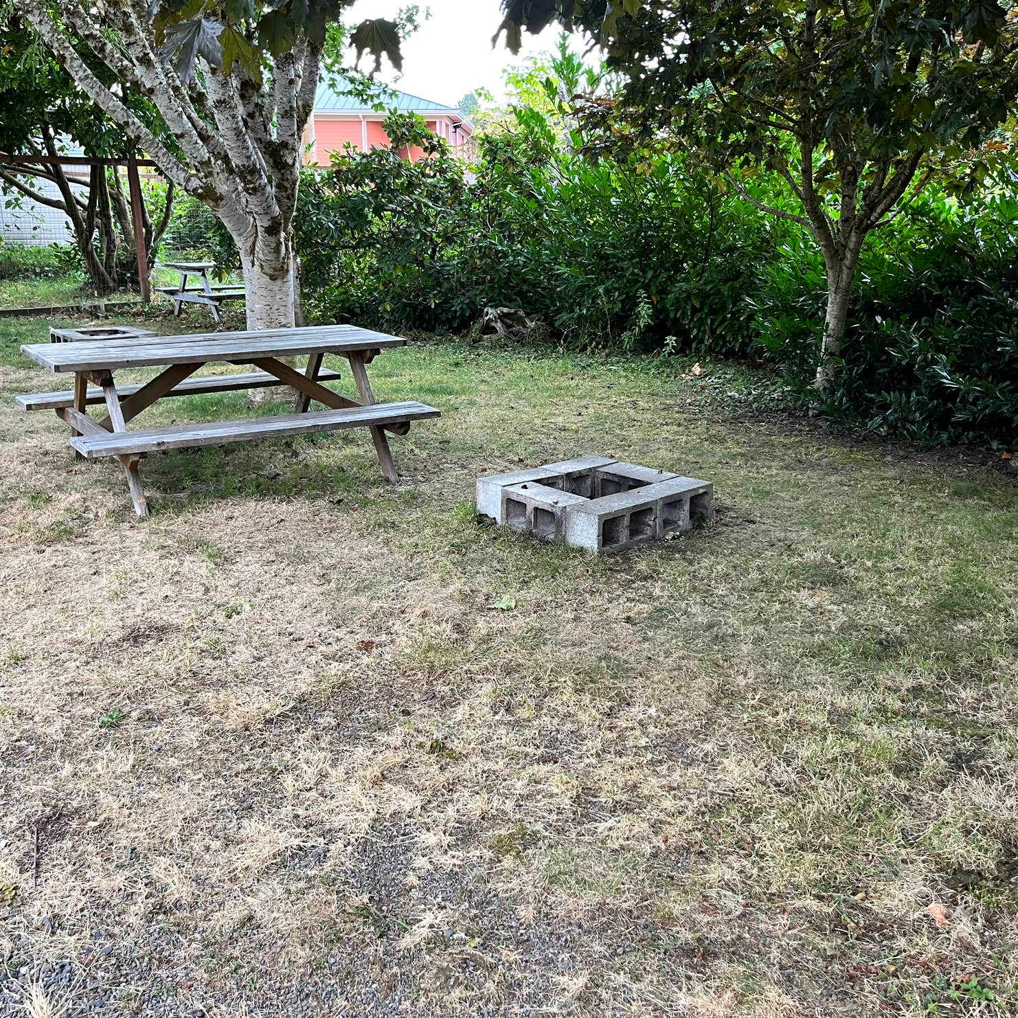 Forks 101 RV Park Camping The Dyrt