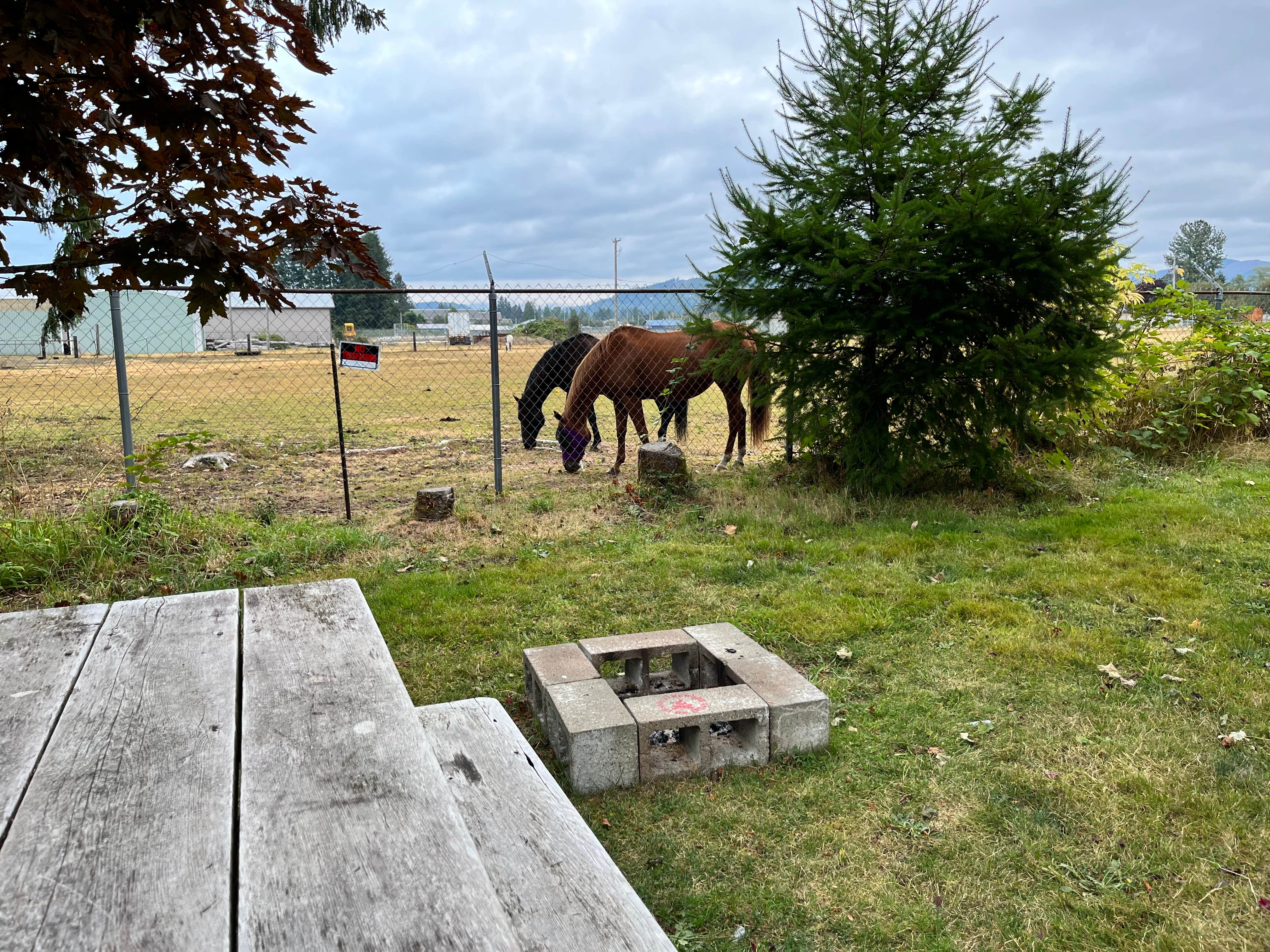 Camper-submitted photo at Forks 101 RV Park near Sekiu, WA