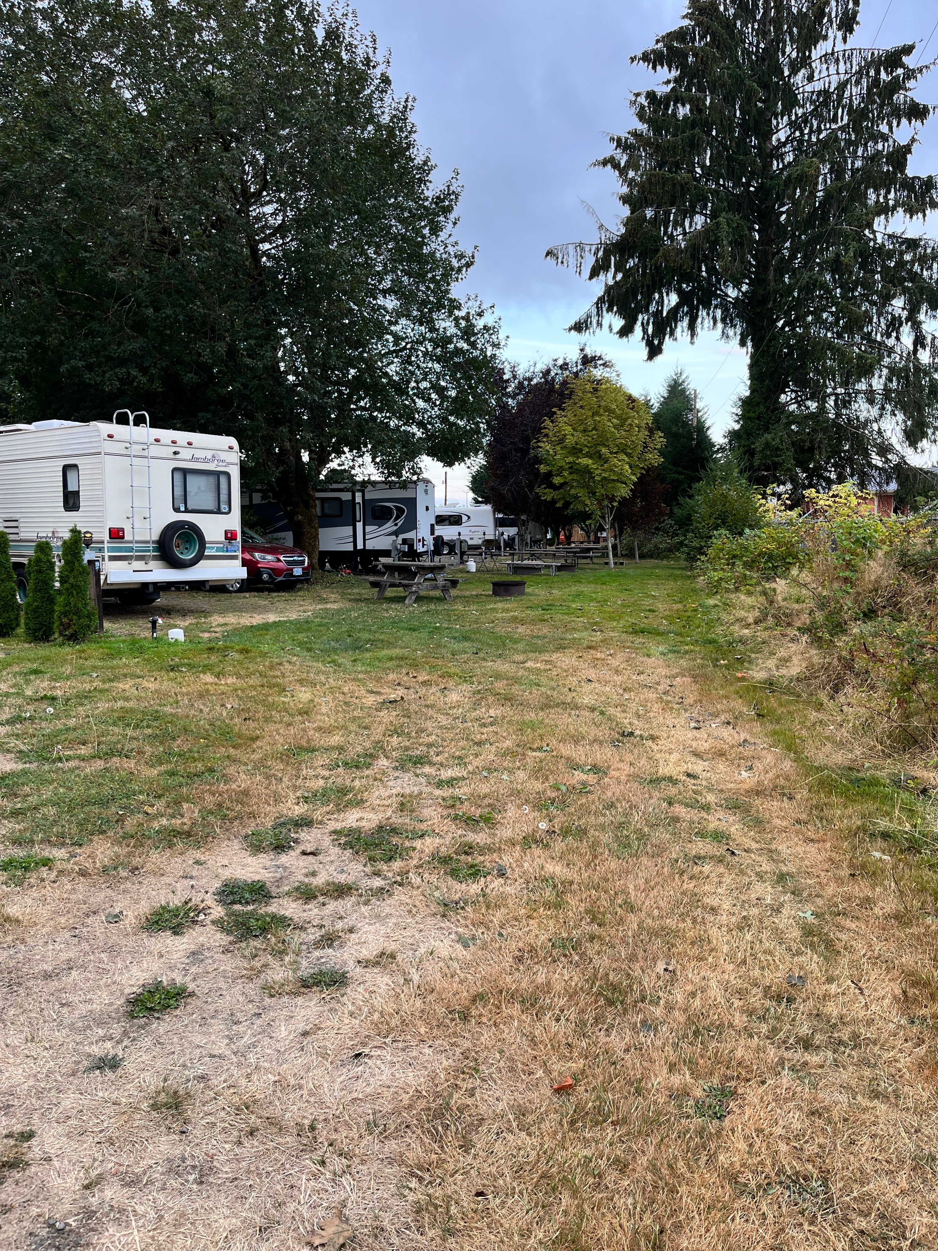 Camper submitted image from Forks 101 RV Park - 1