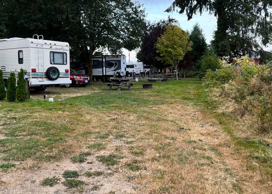 Forks 101 RV Park Camping The Dyrt